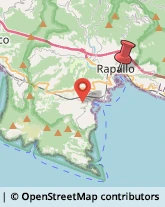 Via Venezia, 88,16035Rapallo