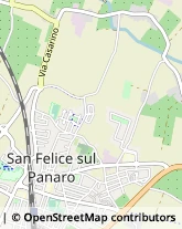 Via La Venezia, 844,41038San Felice sul Panaro