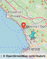 Osterie e Trattorie,34135Trieste