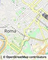 Via del Pozzuolo, 11,00184Roma