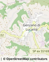 Studi Medici Generici,85013Potenza