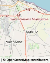 Via Orazio Flacco, 8,70010Valenzano