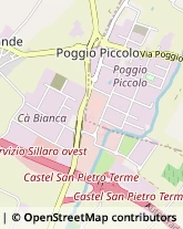 Via San Carlo, 10/N,40023Castel Guelfo di Bologna