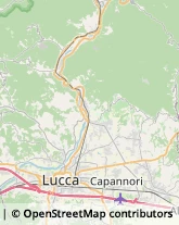 Via delle Suore, 11,55013Capannori