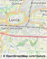 Viale Europa, 797/C,55100Lucca