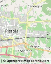 Assicurazioni,51100Pistoia