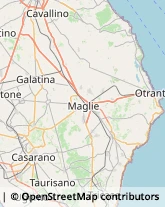 Articoli per Ortopedia,73013Lecce