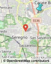 Palestre e Centri Fitness,20841Monza e Brianza