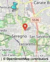 Palestre e Centri Fitness,20833Monza e Brianza