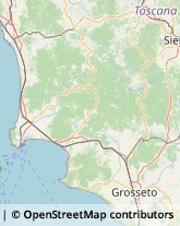 Assicurazioni,58022Grosseto