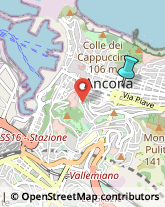 Scuole e Corsi di Lingua,60123Ancona