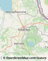 Articoli per Ortopedia,01019Viterbo