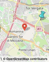 Agenzie Ippiche e Scommesse,00173Roma