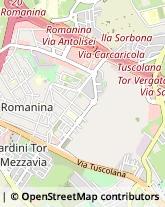 Via Biagio Petrocelli, 228,00173Roma