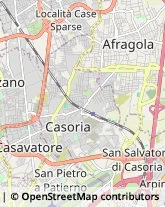 Via Padula, 130,80040Casoria