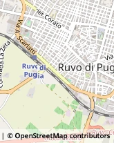 Via Antonio Vivaldi, 1/E,70037Ruvo di Puglia