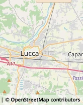 Viale Europa, 797/C,55100Lucca