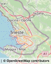 Comuni e Servizi Comunali,34100Trieste