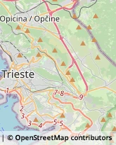 Comuni e Servizi Comunali,34139Trieste