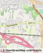 Via Pisana Vecchia, 555,55100Lucca