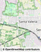 Vetrai,20831Monza e Brianza