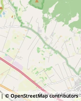 via Quarto del Boschetto, 15,00052Cerveteri