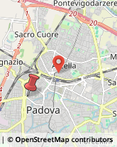 Via Savonarola, 217,35137Padova