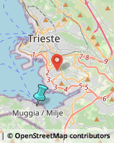 Ambulatori e Consultori,34015Trieste