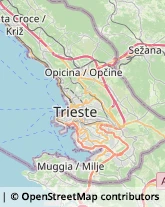 Agenzie di Vigilanza e Sorveglianza,34015Trieste