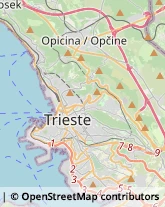 Comuni e Servizi Comunali,34100Trieste