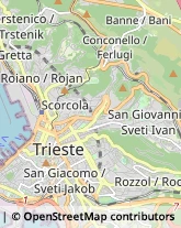 Comuni e Servizi Comunali,34138Trieste