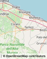 Via Giuseppe Marinelli, 18,70056Molfetta