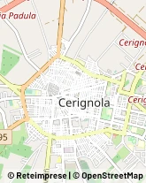 Via Teodoro Albanese, 13,71042Cerignola