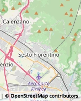 Consulenza Agricoltura e Foresta,50141Firenze