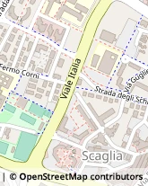 Str. Scaglia Est, 134,41126Modena