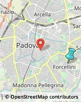 Scuole Materne Private,35128Padova