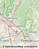 Via di Careggi, 43,50149Firenze