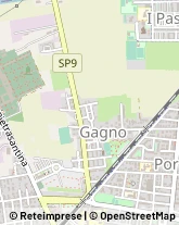 Via San Jacopo, 113,56123Pisa