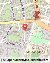 Via Saragozza, 81,40135Bologna