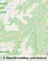 Stufe,38023Trento