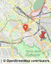 Via Manlio Torquato, 31,00181Roma