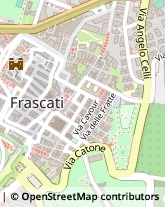 Via Cavour, 21,00044Frascati