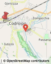 Via Arturo Malignani, 21,33033Codroipo