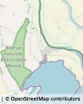 Riserve Naturali e Parchi,44026Ferrara