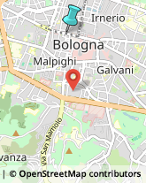 Abbigliamento Bambini e Ragazzi,40121Bologna