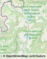 Istituti di Bellezza,25040Brescia