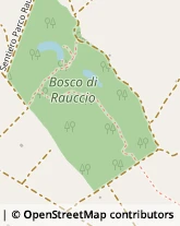 Riserve Naturali e Parchi,73100Lecce