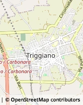 Via Carroccio, 22,70019Triggiano