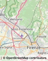 Comunità e Comprensori Montani,50041Firenze