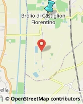 Falegnami e Mobilieri - Forniture,52043Arezzo